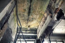 Best Commercial Mold Inspection in Silverdale, WA